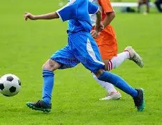 民政部发布,规章严格整,治非法社会,MK,MK体育,MK,MK体育官网