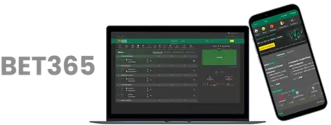 英超第,轮焦点战,曼联对阵布,MK,MK体育,MK,MK体育官网