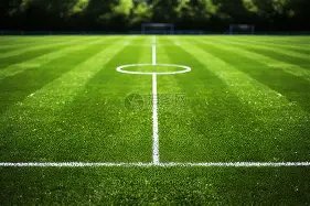 我国主场再,添一员,杭州,MK,MK体育,MK,MK体育官网