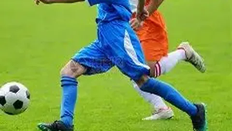 民政部发布规章严格整治非法社会组织活动